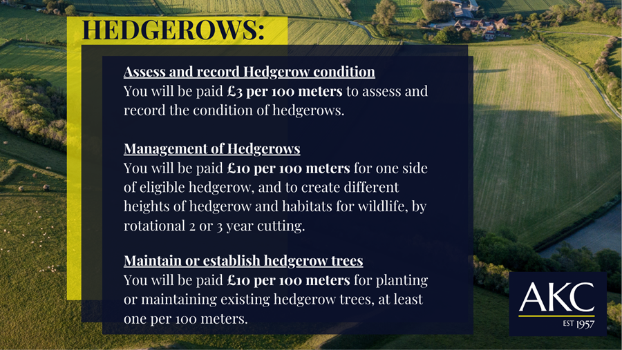 Hedgerows