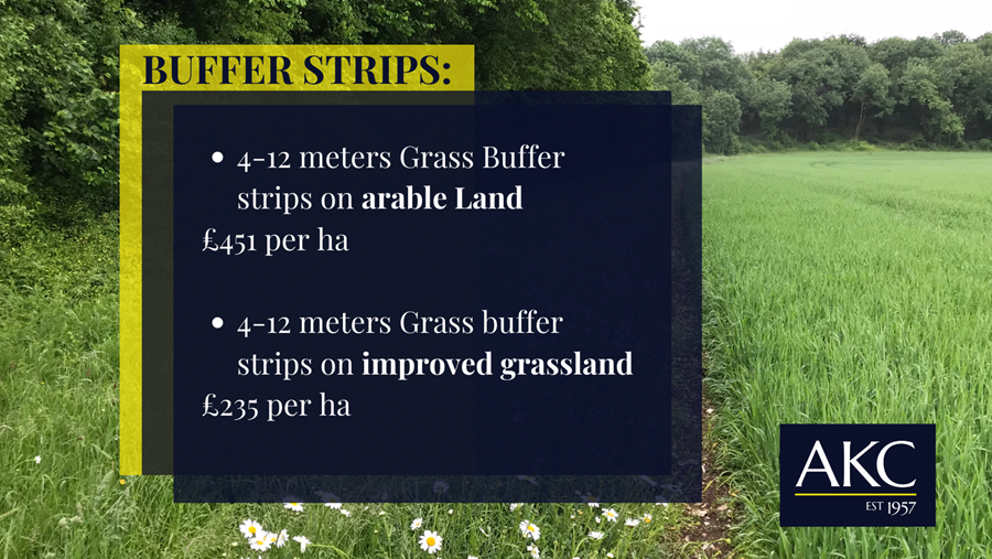 Buffer Strips