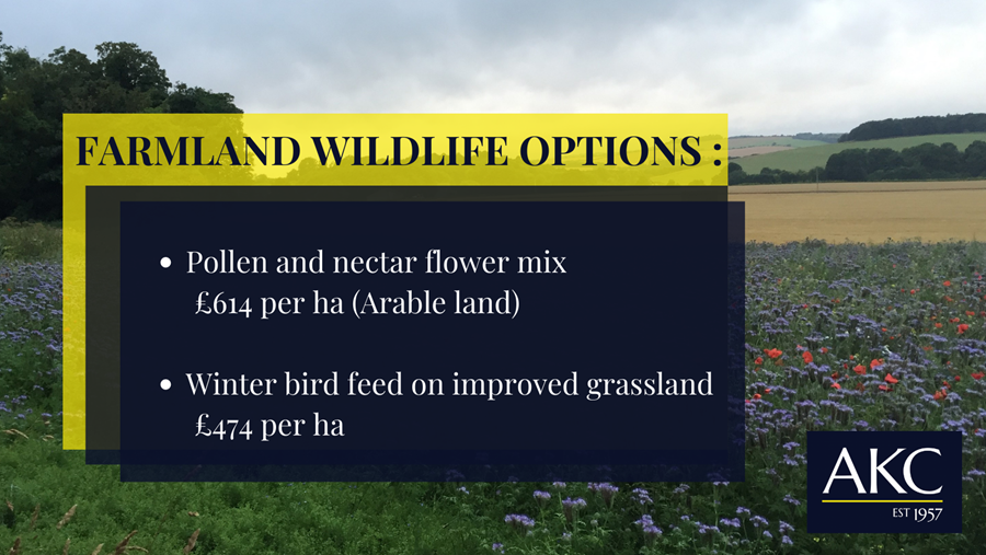 Farmland Wildlife Options 