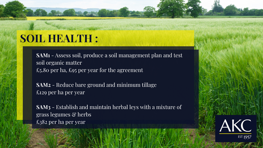 Soil Health