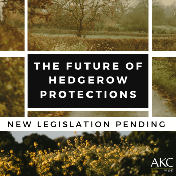 The Future of Hedgerow Protections in England 