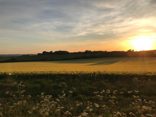 Countryside Stewardship, Farm Wildlife Packages and Key Dates