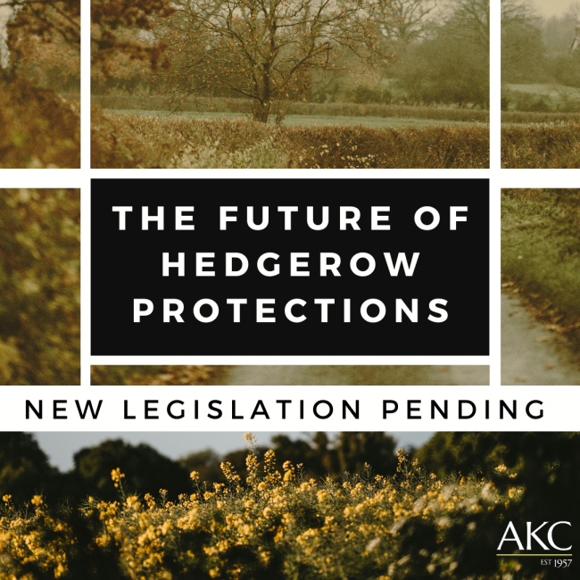 The Future of Hedgerow Protections in England 