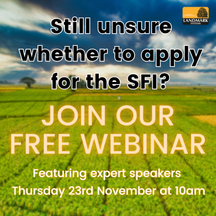 Still unsure whether to apply for the SFI?
